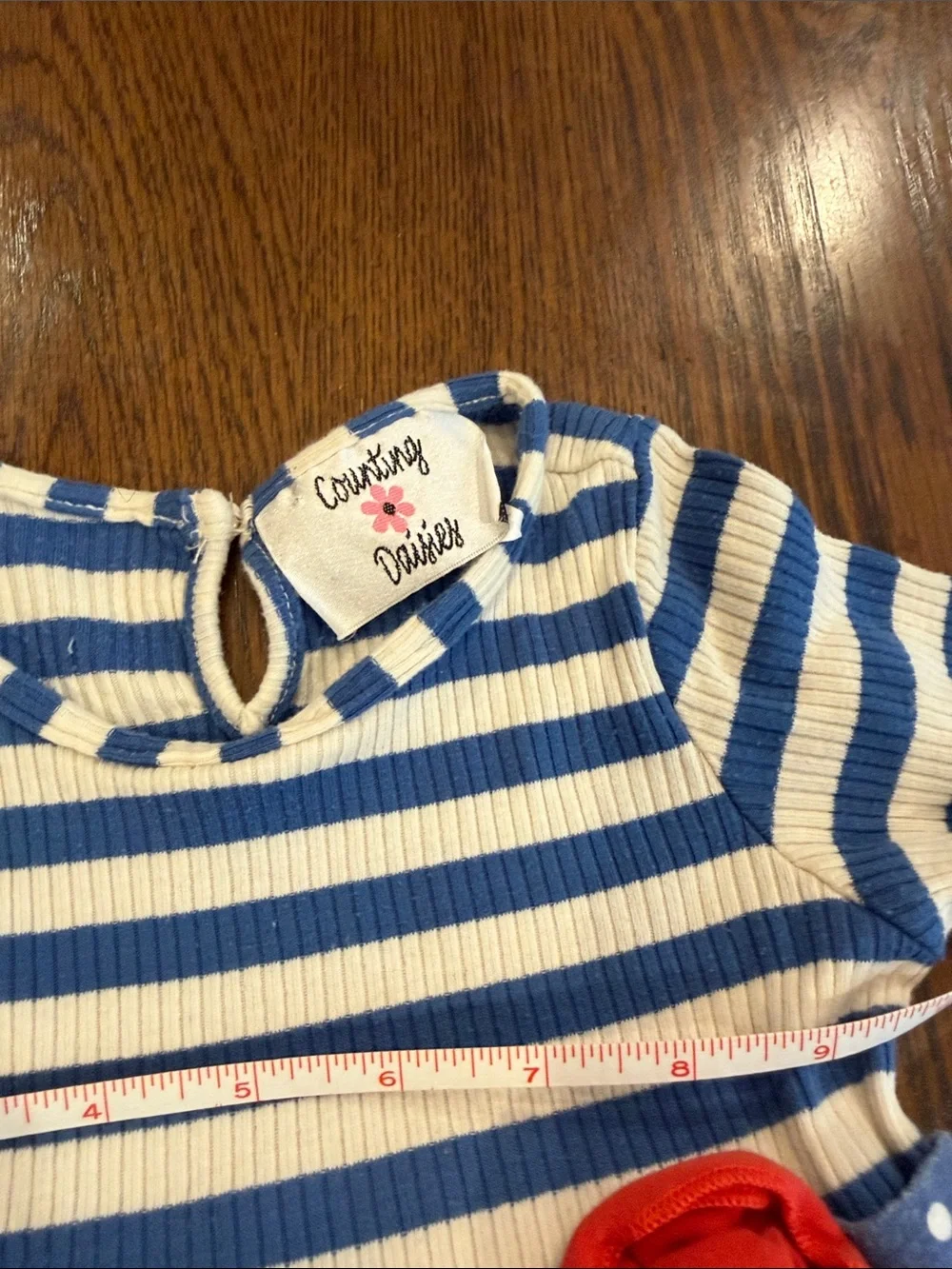 Counting Daisies Blue & Red Striped Floral Ruffle Matching shirt/pant Set•Size 4